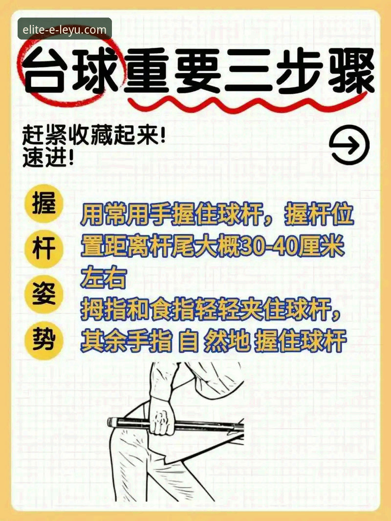 从零玩转乐鱼体育平台：新手必备的实用操作指南